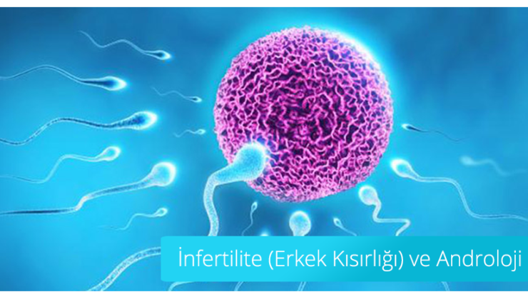 İnfertilite (Erkek ve Kadın Kısırlığı)
